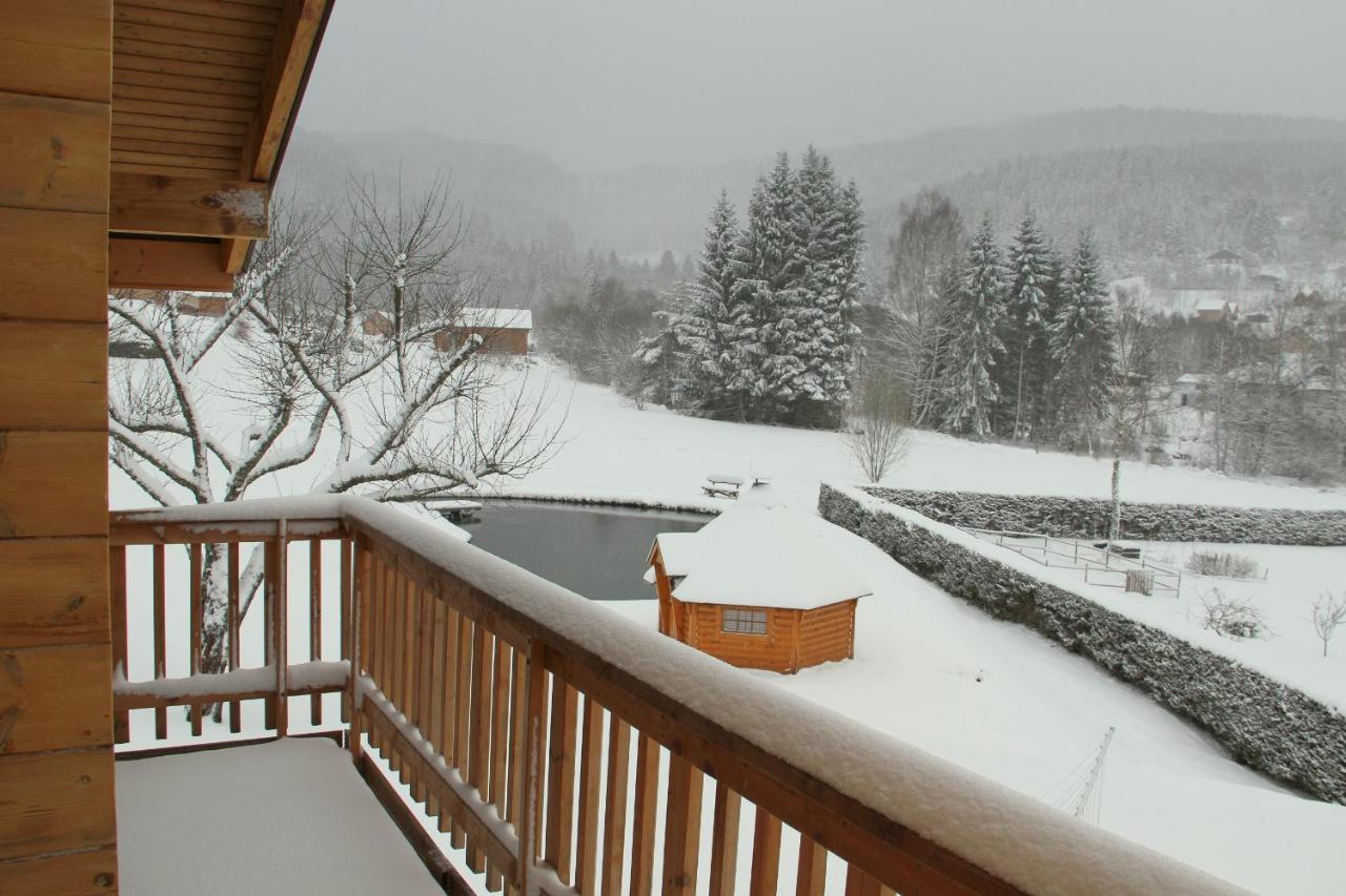 Chalet Centauree - Remy Herold Xonrupt-Longemer Exterior photo