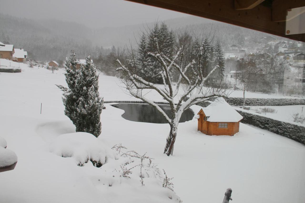 Chalet Centauree - Remy Herold Xonrupt-Longemer Exterior photo